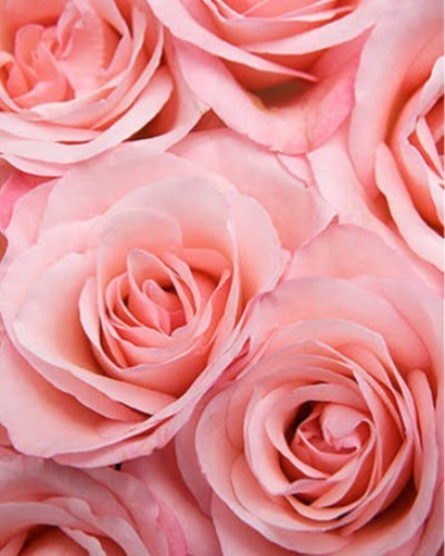 Patricia Jane, (Pat). PLIMMER